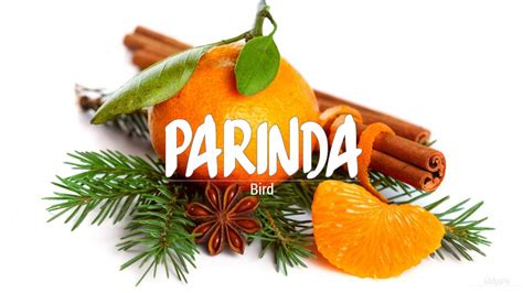 parinda meaning in english